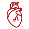 Cardiovascular